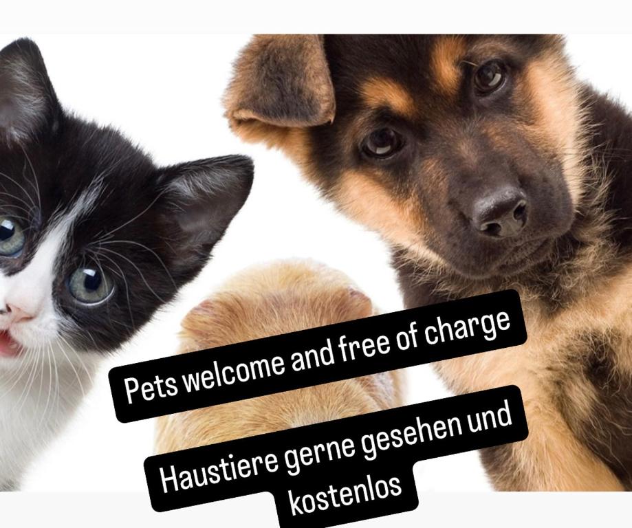 a dog and a cat with signs that say pets welcome and free of change at Mitzis Stubn Apartments - pets no extra cost - Bad Goisern - 24-hour self check-in in Bad Goisern