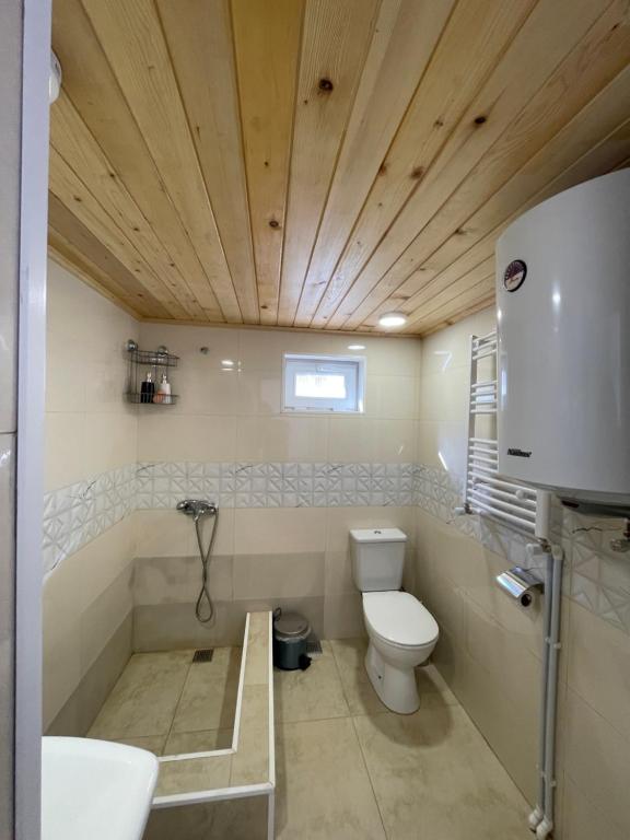 a bathroom with a toilet and a sink at Mamuka Chartolani Guesthouse in Mestia