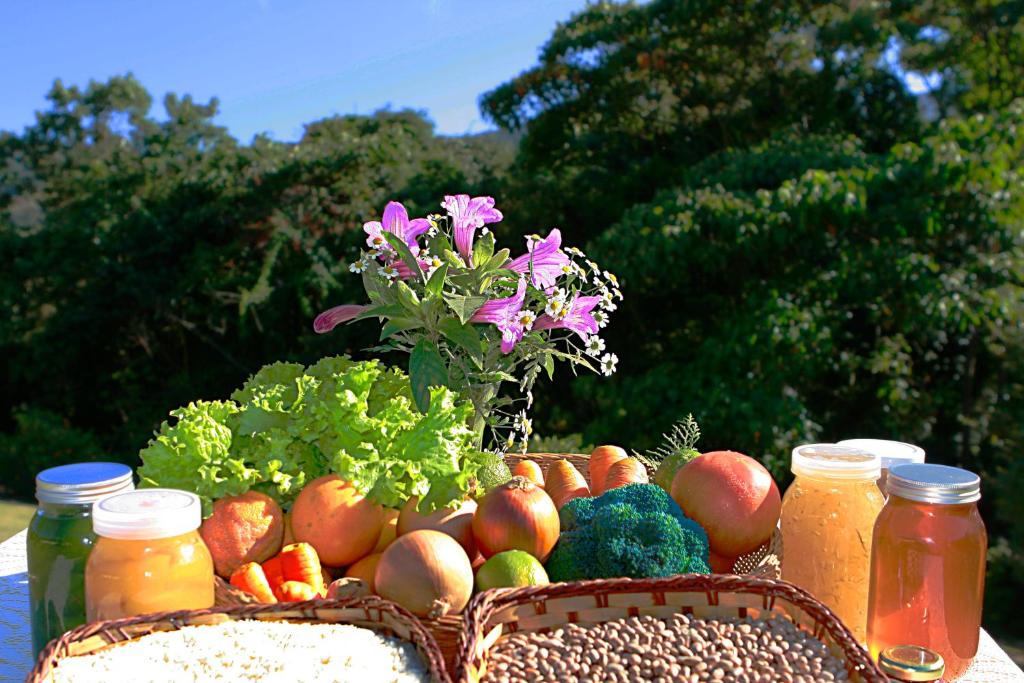  Bosque dos Beija-Flores Pousada e Spa