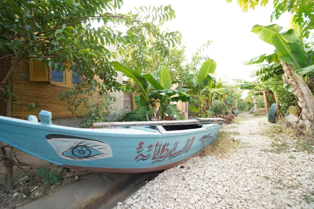 Bedouin Lodge Luxor - 5