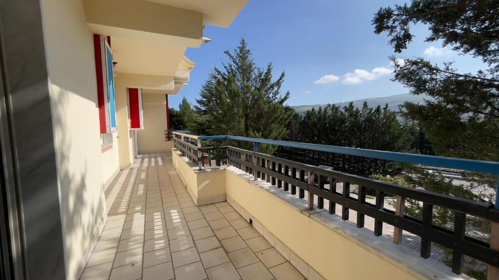 Balkón nebo terasa v ubytování Hostel Villa Lucia