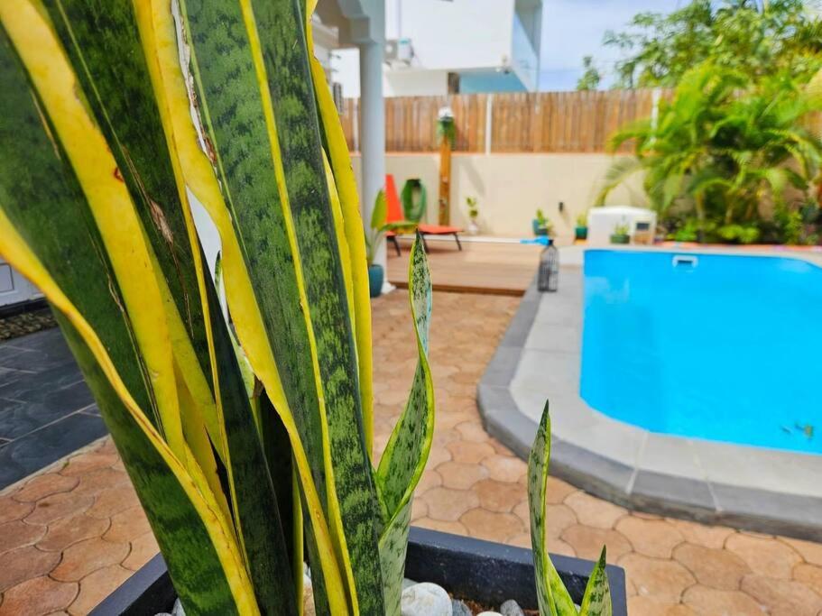 a plant in a pot next to a blue table at Villa Ti CoCo Elegant Tropical Villa with Pool and Terraces in Trou aux Biches
