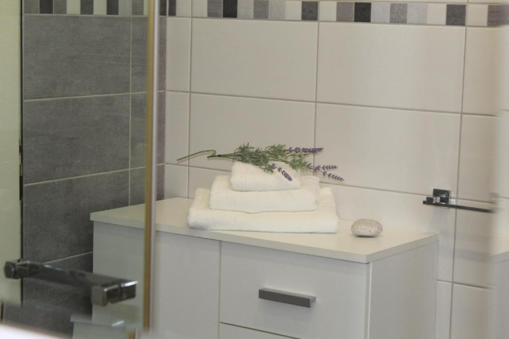 Koupelna v ubytování Apartmán Nerudova