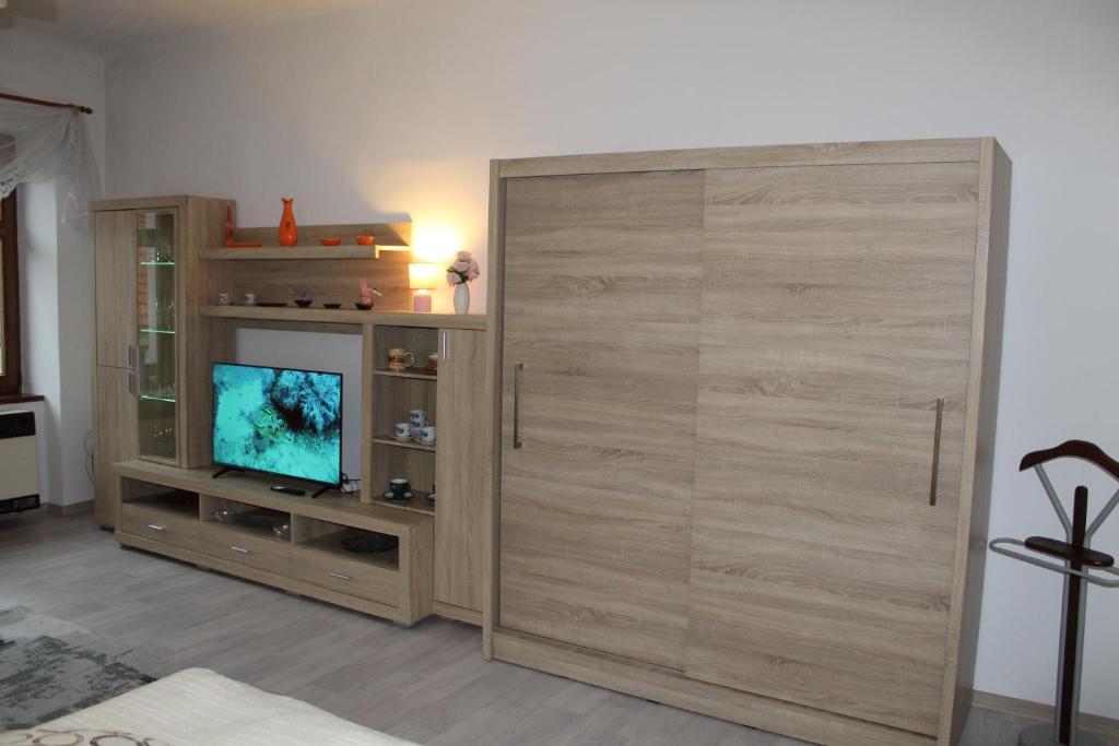 TV a/nebo společenská místnost v ubytování Apartmán Nerudova
