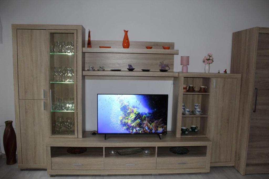 TV a/nebo společenská místnost v ubytování Apartmán Nerudova