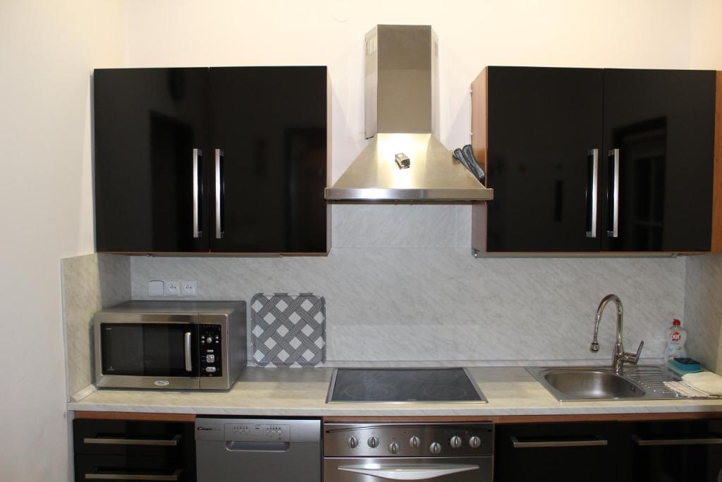 Kuchyň nebo kuchyňský kout v ubytování Apartmán Nerudova