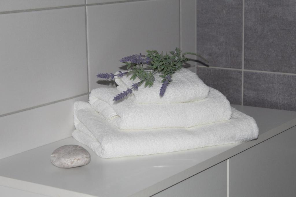Fotografie z fotogalerie ubytování Apartmán Nerudova v destinaci Česká Lípa