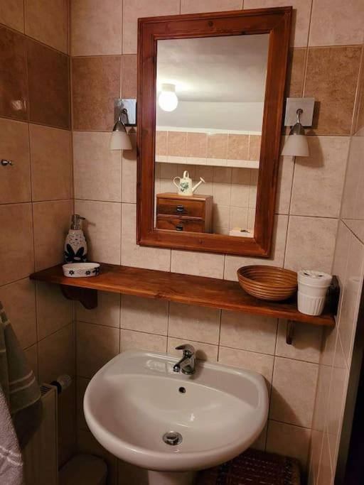 un bagno con lavandino e specchio di Roubenka u kapličky a Liberec