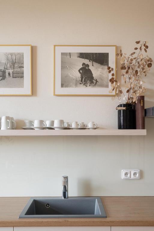 Fotografie z fotogalerie ubytování Vila NMNM v Novém Městě na Moravě