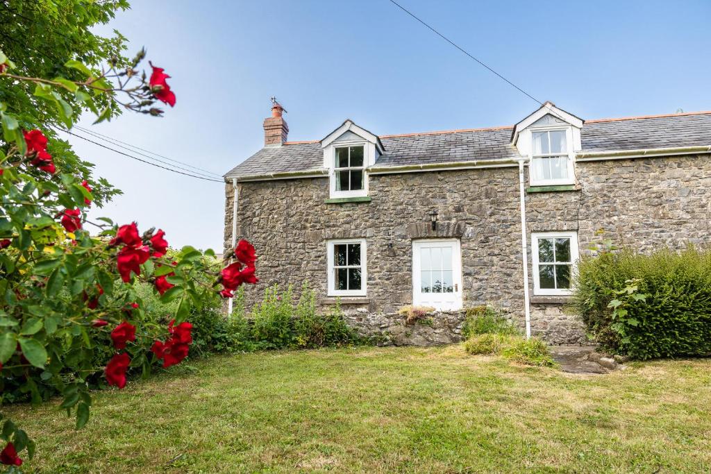 an old stone house with red roses in front of it at Castle View in Carew