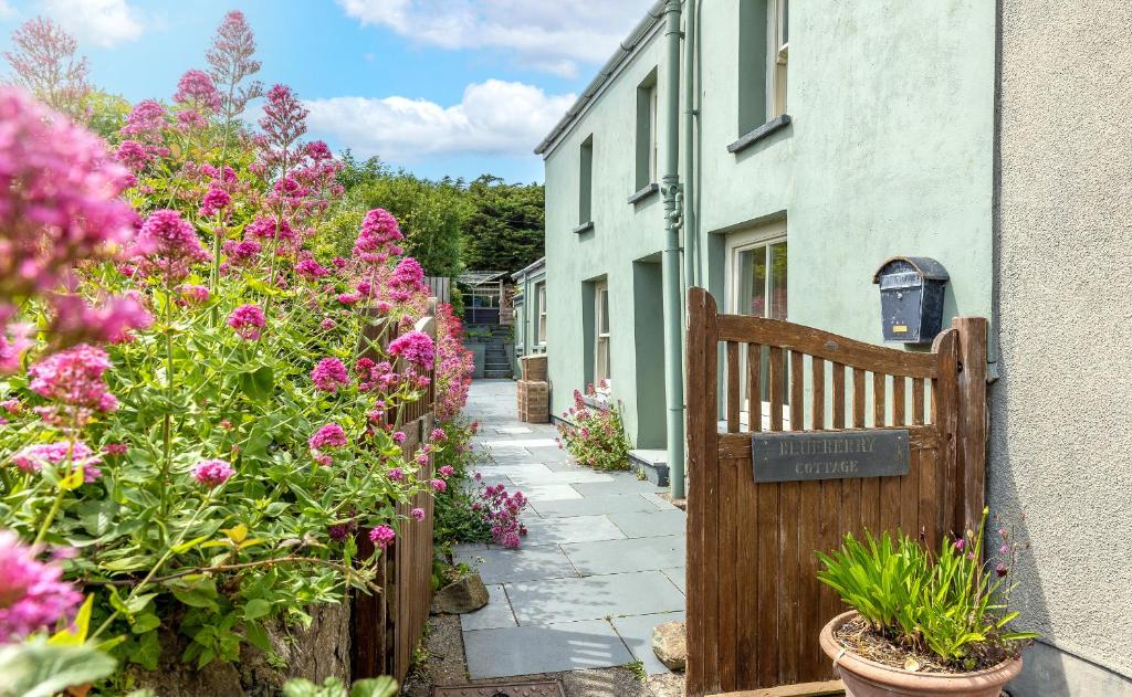 ogród z różowymi kwiatami i drewnianym płotem w obiekcie Blueberry Cottage w mieście Haverfordwest