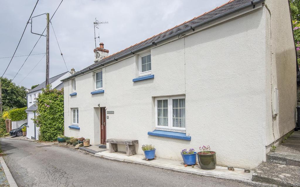 ein weißes Haus mit blauen Fenstern und Topfpflanzen an einer Straße in der Unterkunft Ivy Cottage in Haverfordwest