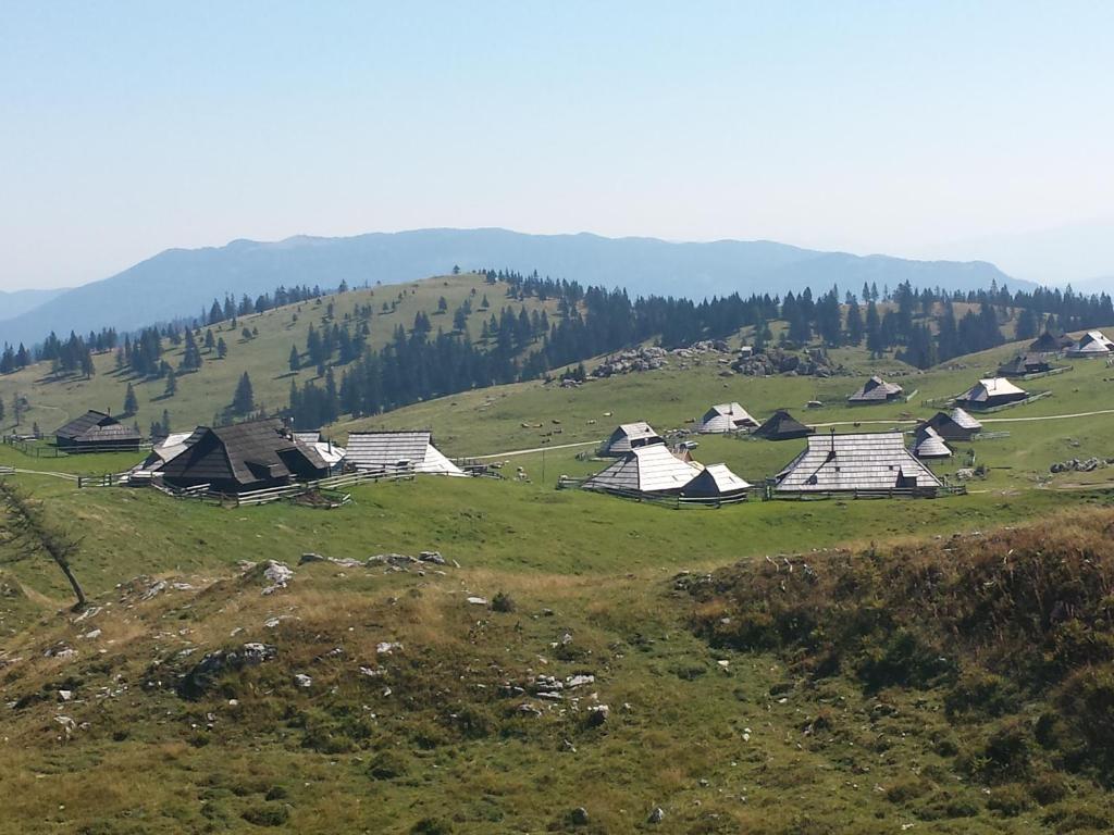 Příroda nedaleko prázdninového domu