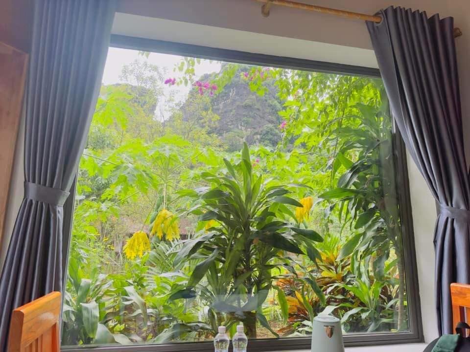 Trang an green river homestay - 3