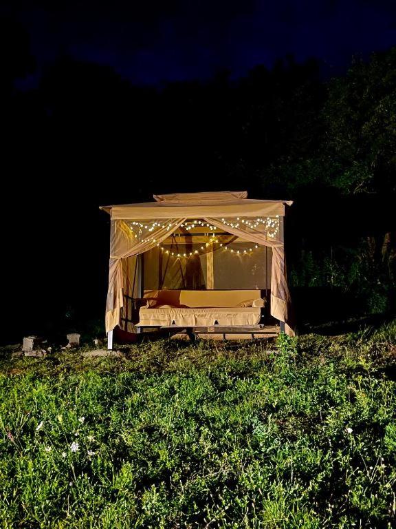 Zahrada ubytování lakeviewglamp