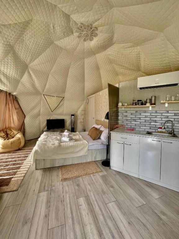 Kuchyň nebo kuchyňský kout v ubytování lakeviewglamp