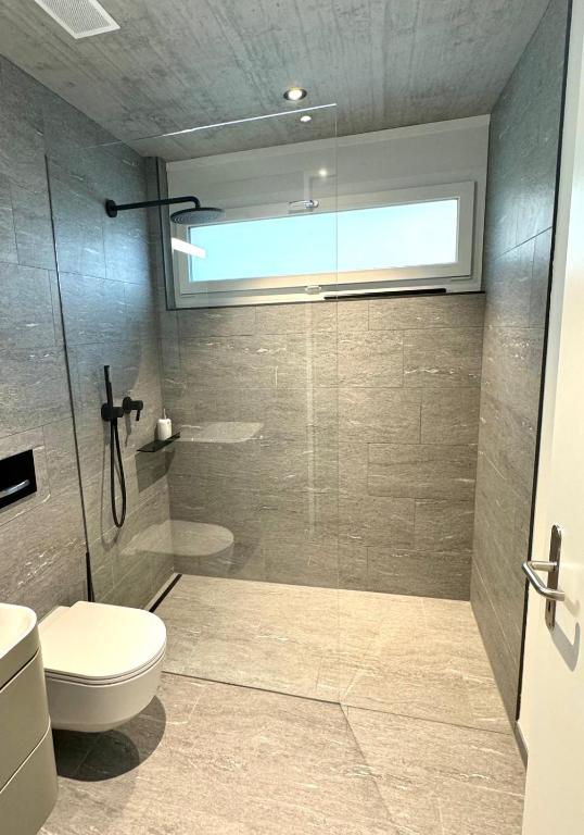un bagno con wc e doccia in vetro di Studio 111 - Blue ad Aarau
