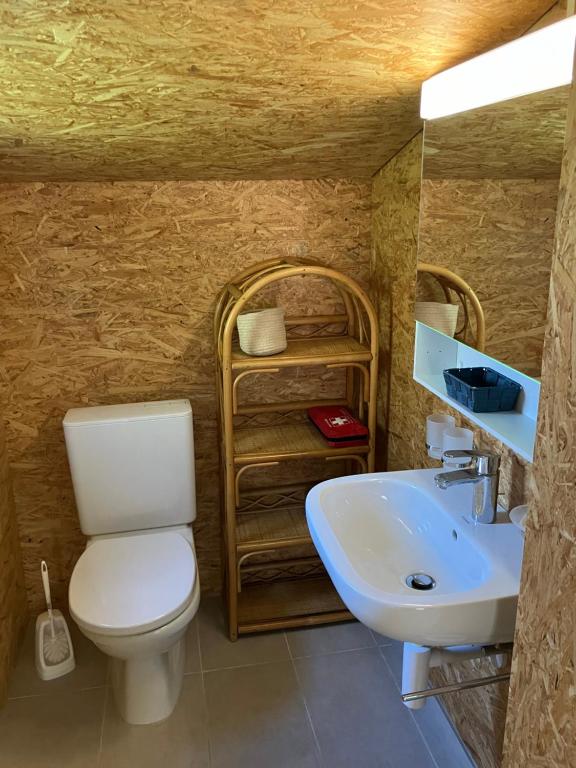 Koupelna v ubytování LE PIVERT, chalet confortable avec jardin à 100m du lac
