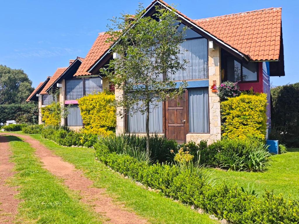 Zahrada ubytování Namasté Cabañas, Huasca de Ocampo