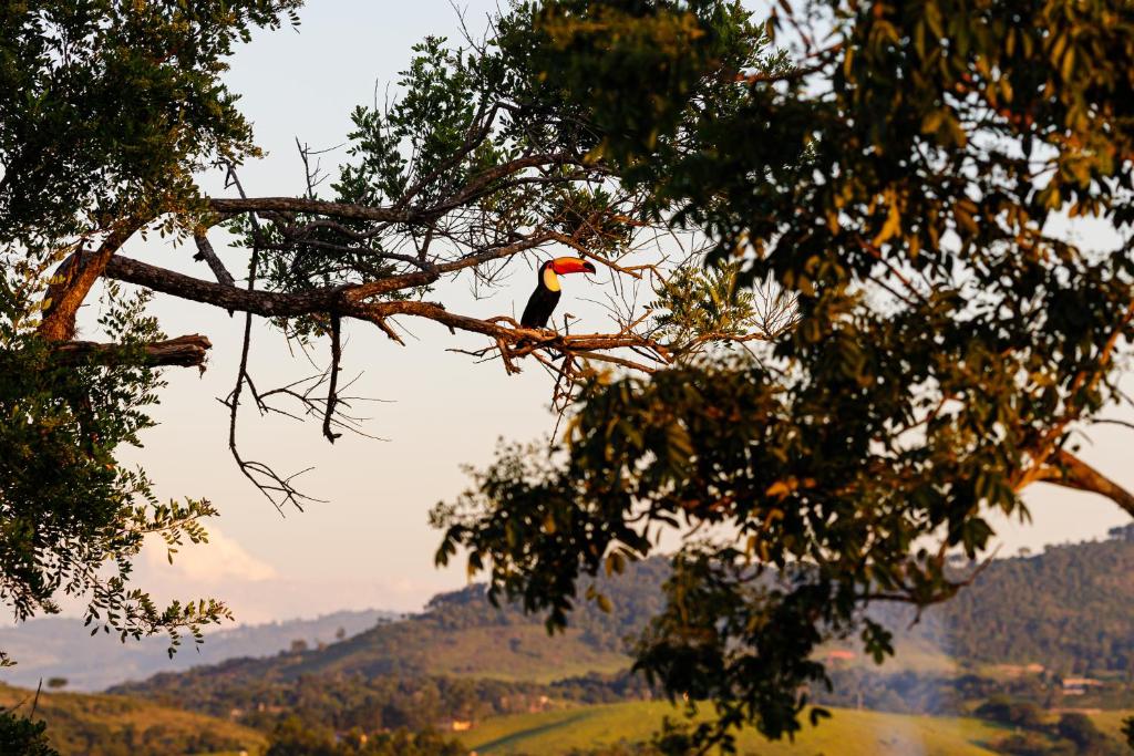 Hotel Morro De Santo Agostinho