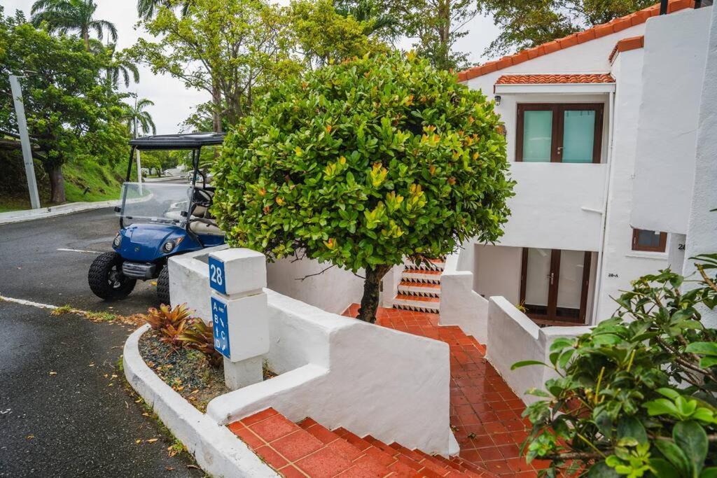 Zahrada ubytování Río Mar Retreat en Stunning Oceanview Near El Yunque
