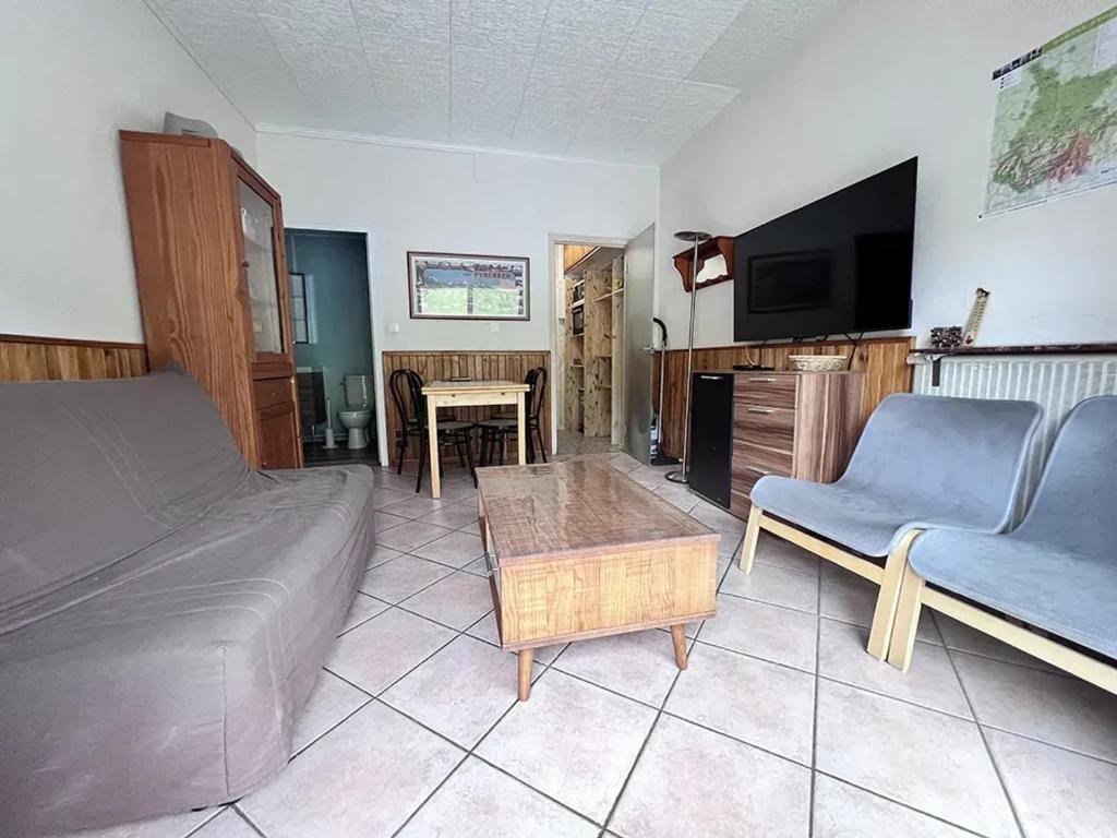Una sala de estar con un sofá y un televisor. en Appartement cosy à Bagnères-de-Bigorre, 34 m² avec balcon, en La Mongie