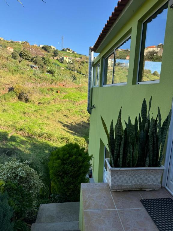 a house with a plant on the side of it at Green House in Calheta