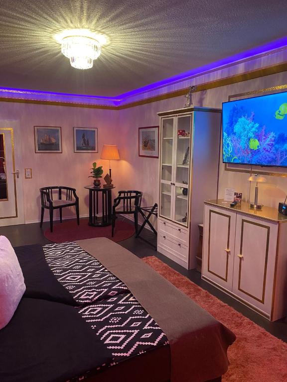 TV a/nebo společenská místnost v ubytování Chez-Ronny