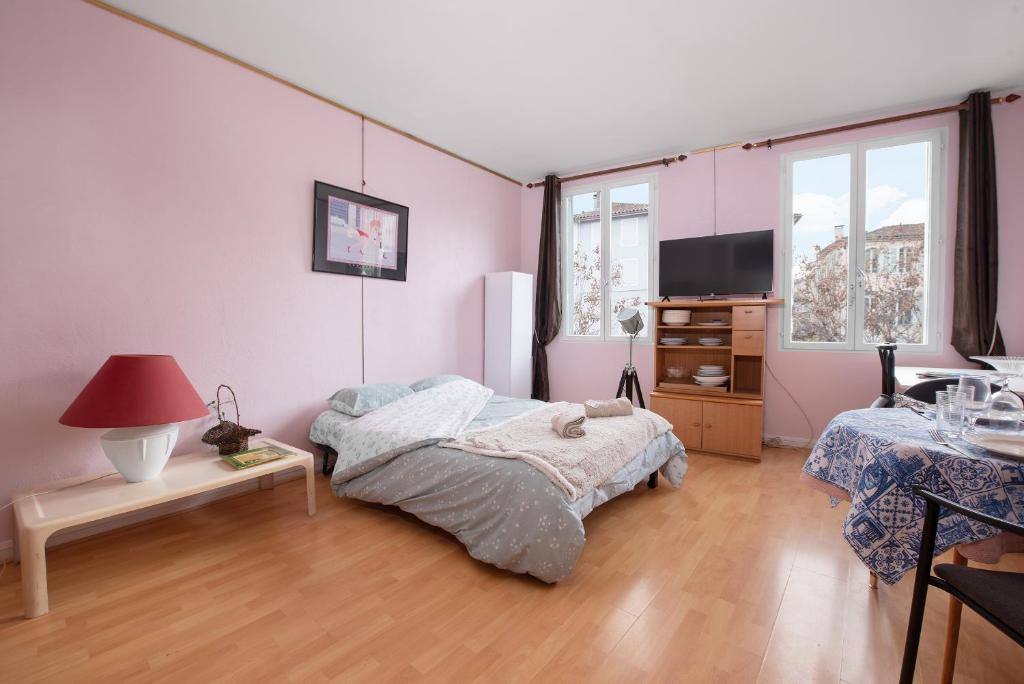a bedroom with a bed and a tv in it at Studio Centre Saint-Girons in Saint-Girons