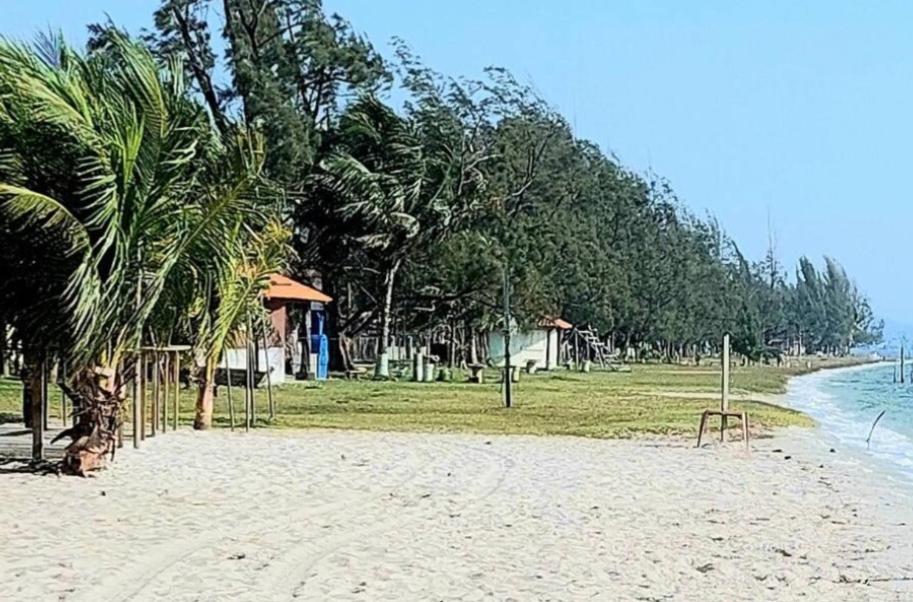 a beach with a bunch of trees and the water at Cantinho da casa verde em Praia Seca in Araruama