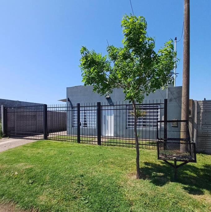 a small tree in front of a black fence at Naturaleza Necochea in Necochea