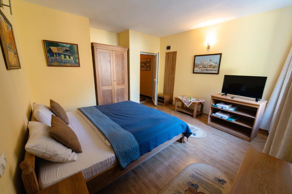 Pensiunea Limpedea - Double Room