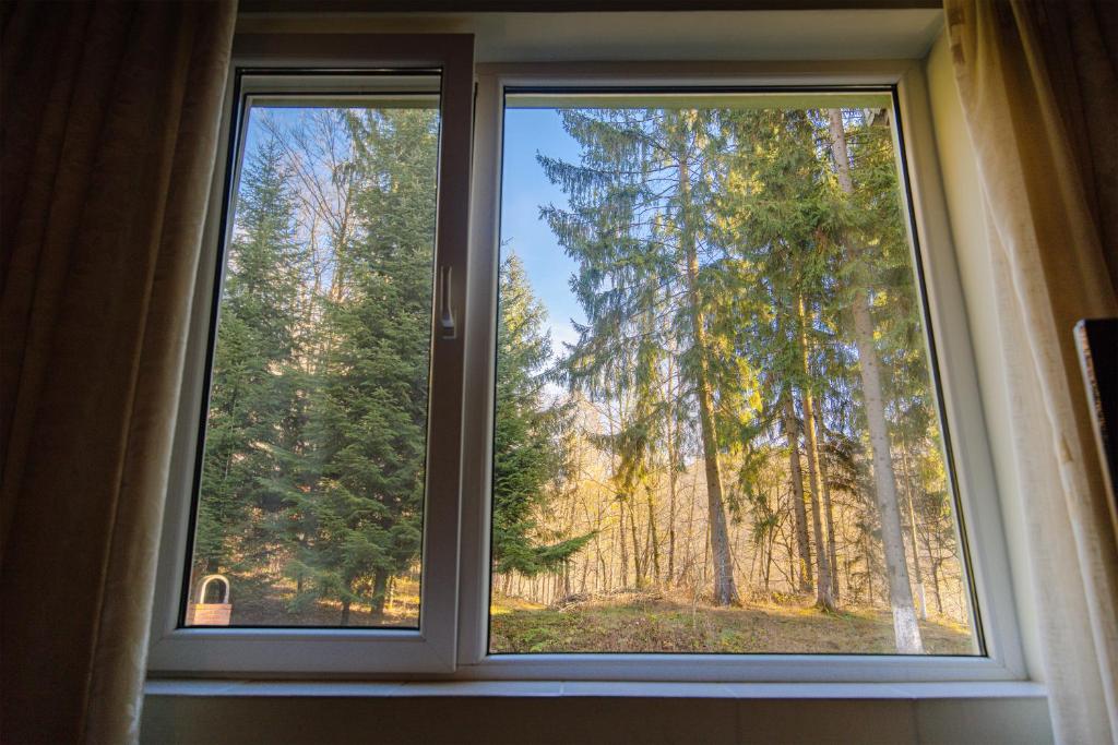 Pensiunea Limpedea - Twin Room