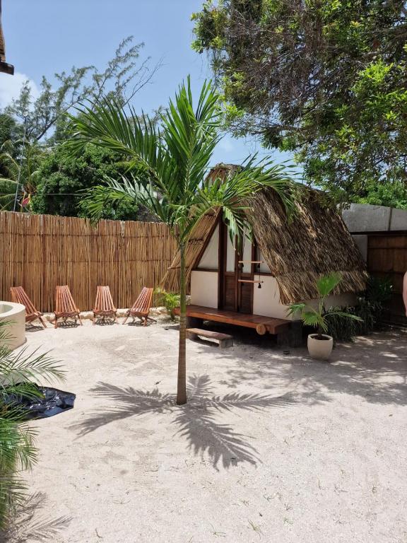 Zahrada ubytování Luna y Sol Glamping Holbox