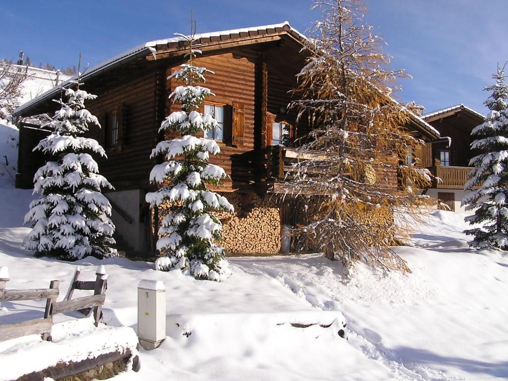PatergassenにあるFerienhaus Blommen - Falkertseeの雪上のクリスマスツリーの丸太小屋
