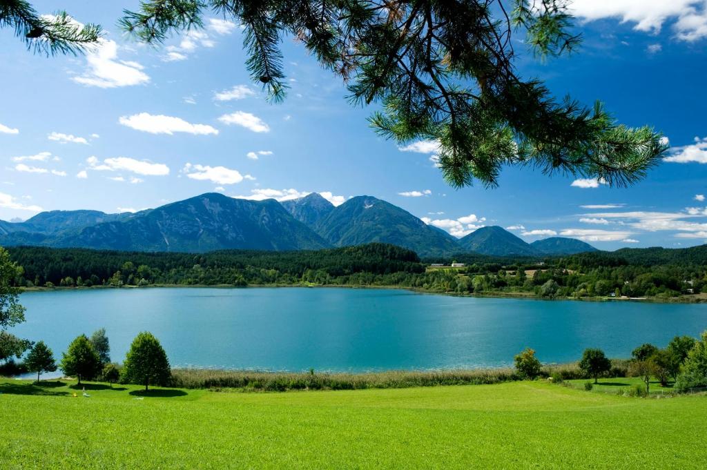 - une vue sur un lac avec des montagnes en arrière-plan dans l'établissement Gasthaus Stefaner, à Feistritz im Rosental