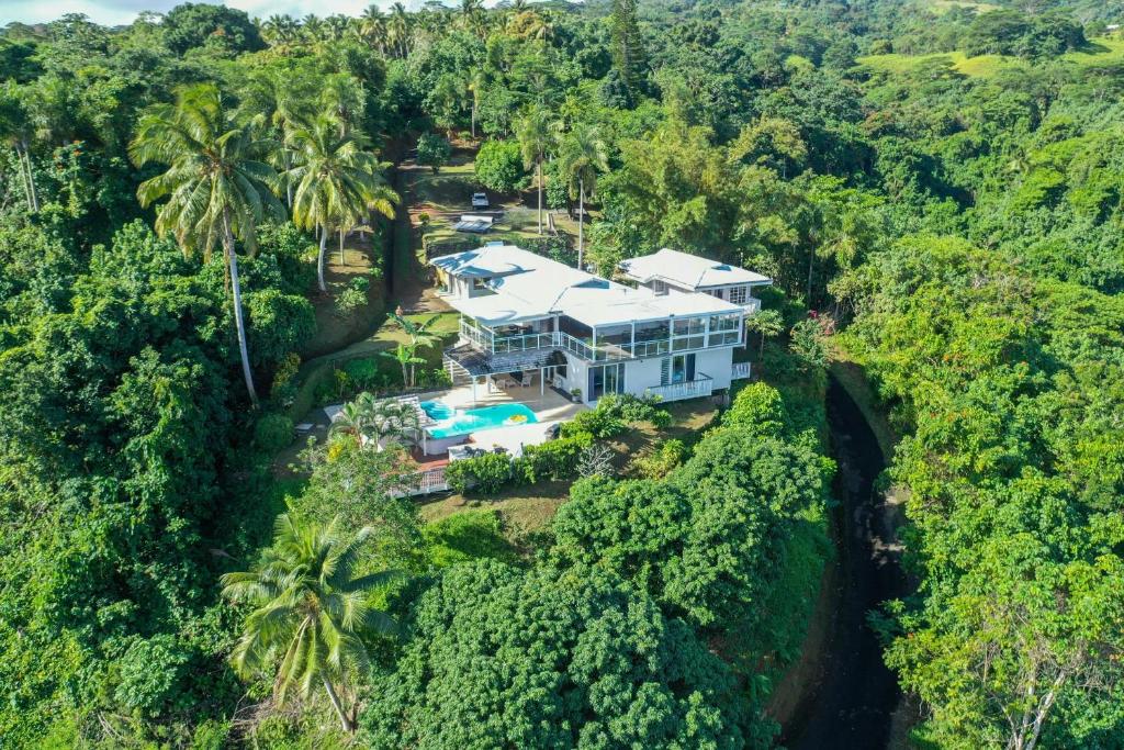 Domaine To'a Hotu - photo 12 - Tahiti, Polynésie