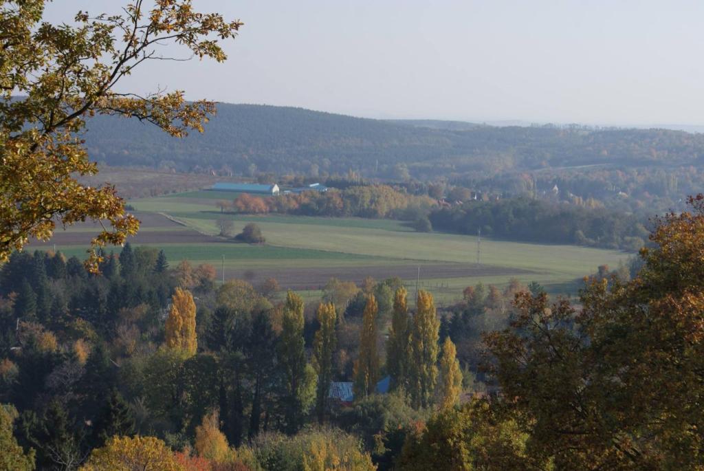 Przyroda w pobliżu tego apartamentu