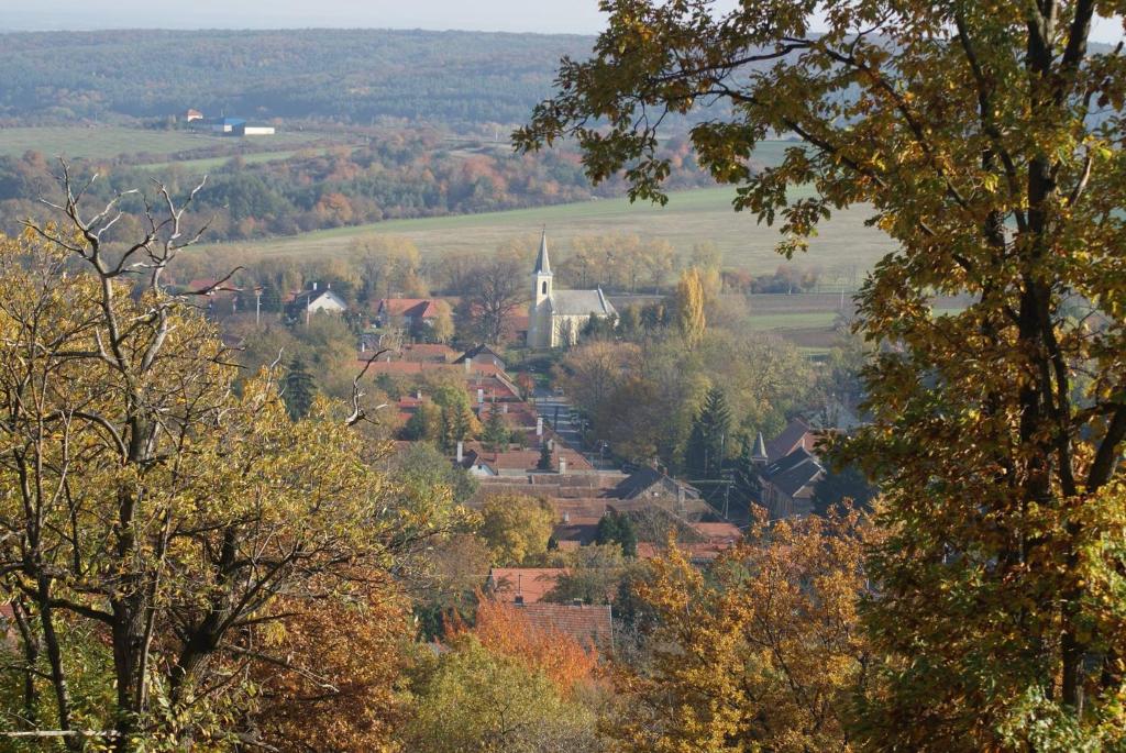 Przyroda w pobliżu tego apartamentu
