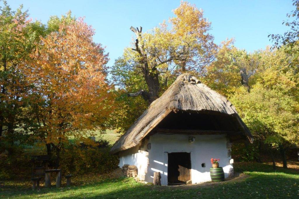 Budynek, w którym mieści się apartament