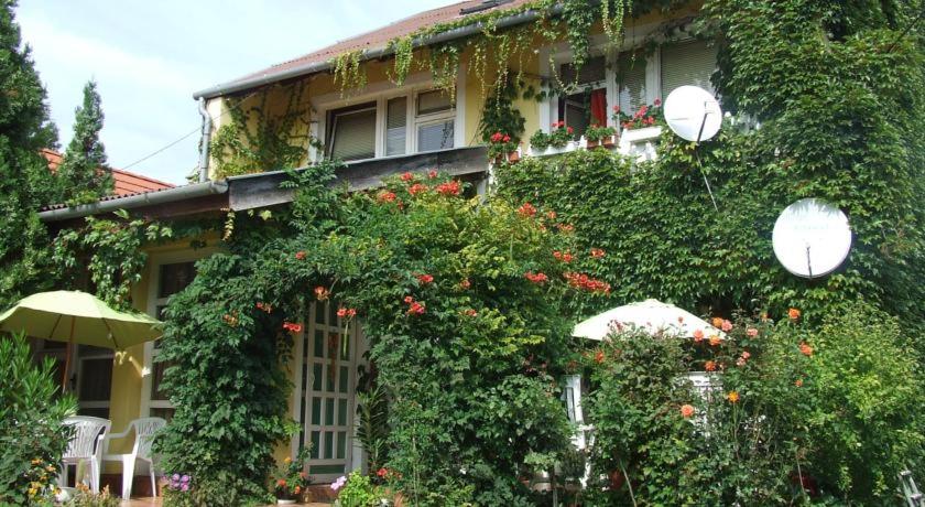 a building with a bunch of plants and flowers at Vadszőlő Vendégház in Cák