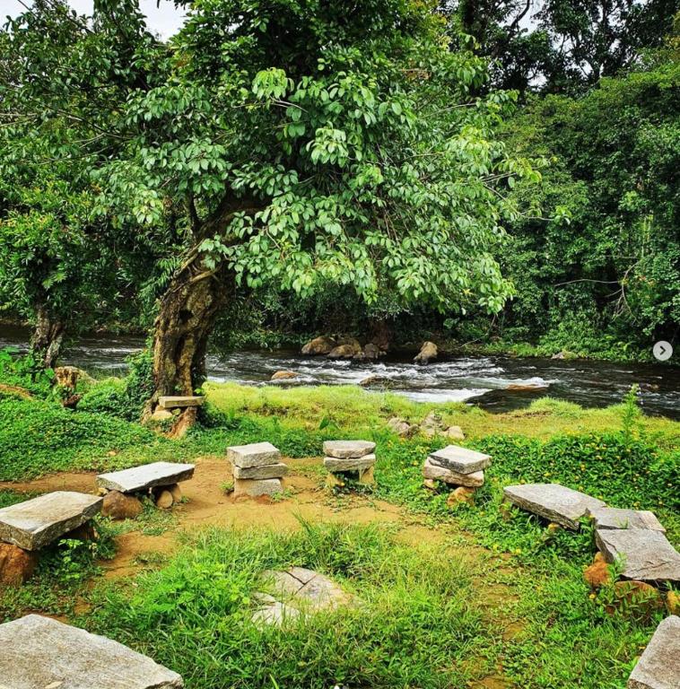 Κήπος έξω από το Jungle Retreat Wayanad
