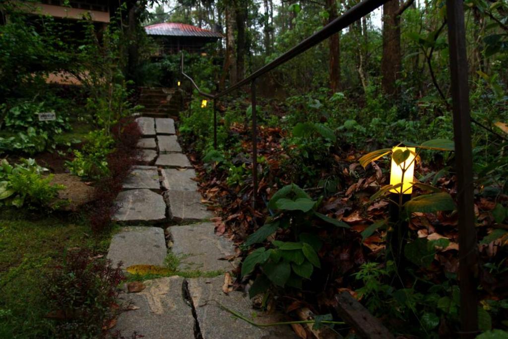 Κήπος έξω από το Jungle Retreat Wayanad