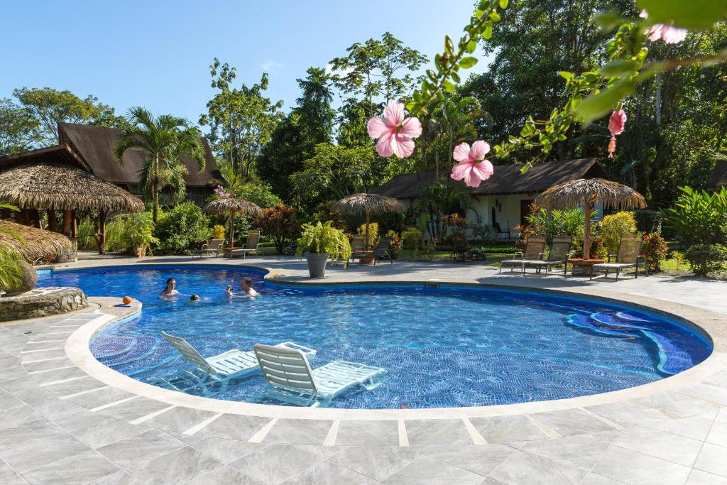 a swimming pool with two chairs and people in it at Hotel Suizo Loco Lodge & Resort in Cahuita
