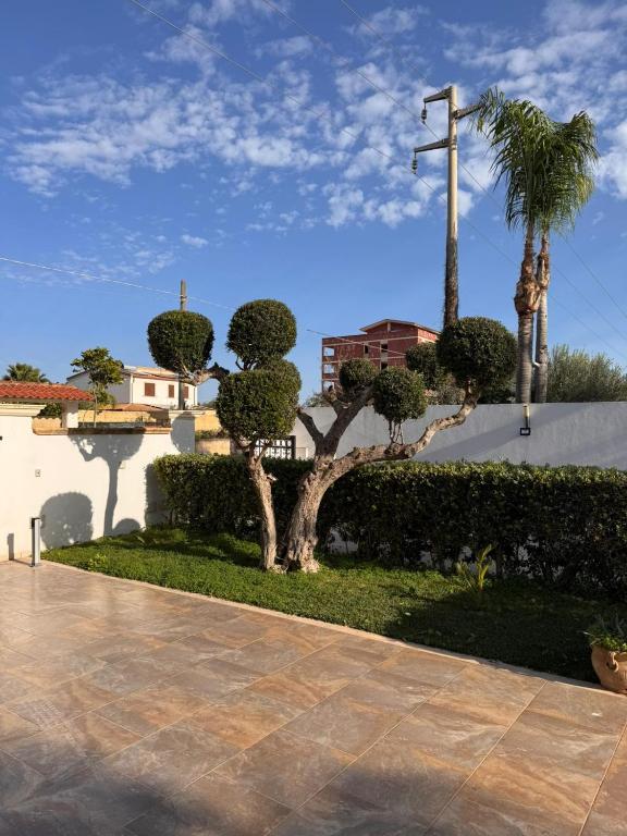 Oasi Tortuga Residence Appartamento 2 con Piscina e Barbecue h 24