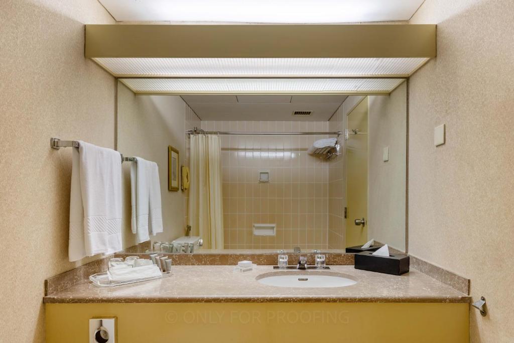 Hilton Colombo Hotel - 10