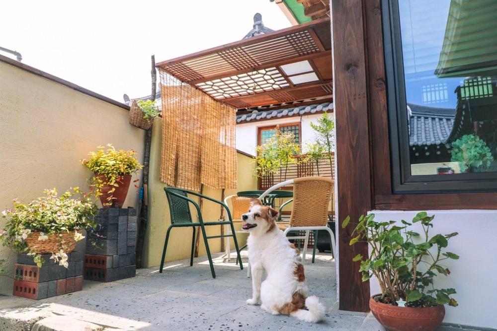 a dog sitting in front of a door at Happiness on Jacuzzi Private Pension in Jeonju