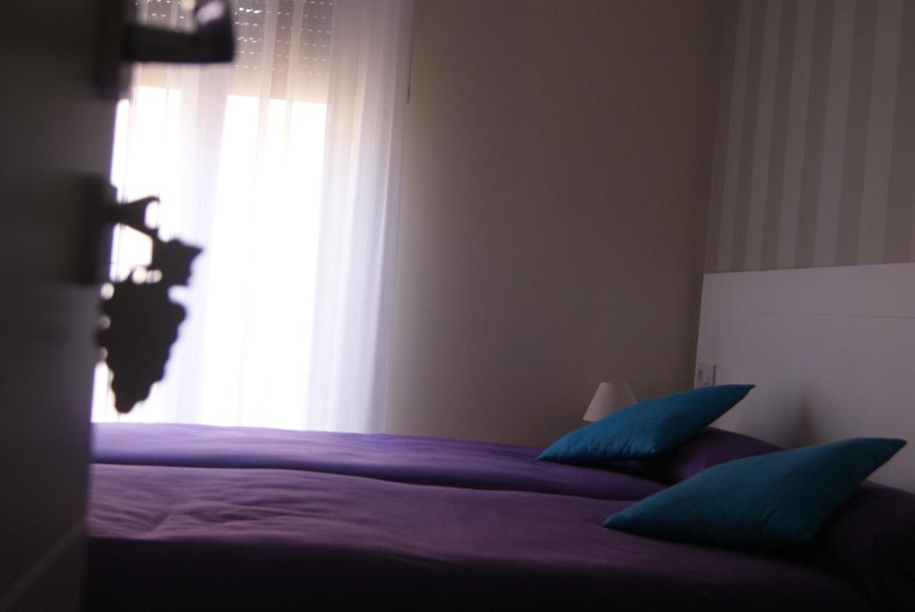 Pensión Entreviñas - 15