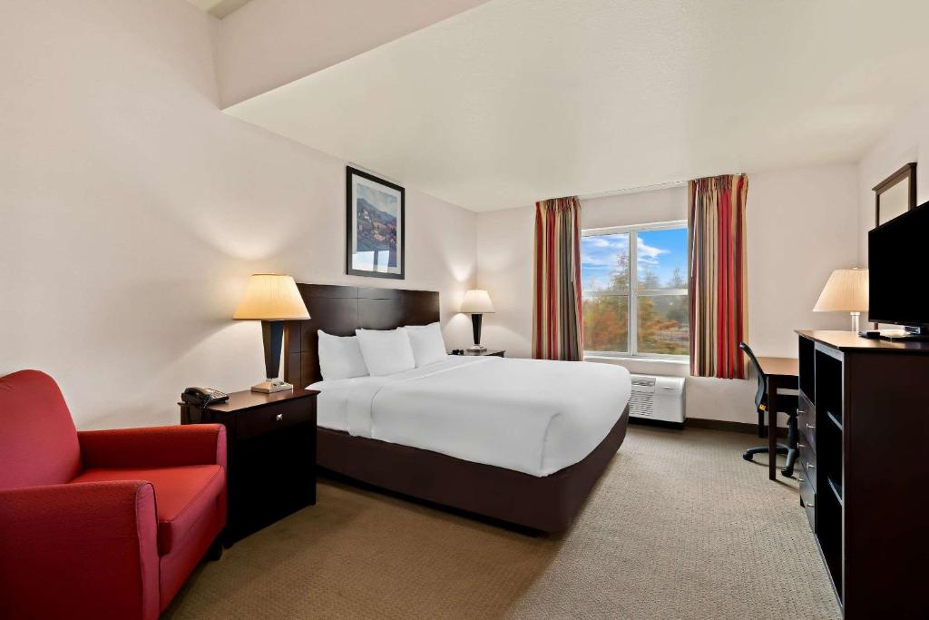 Comfort Inn & Suites Creswell photo