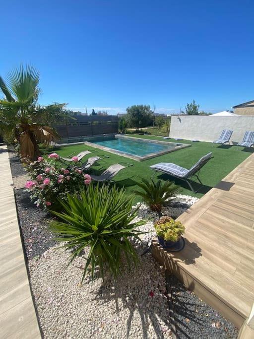 une arrière-cour avec une piscine et une terrasse ornée de plantes dans l'établissement Villa avec Piscine, grand terrain à 7 mn de la mer, à Frontignan